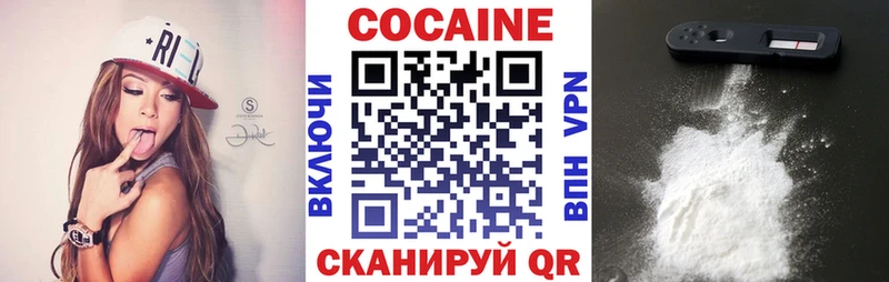 Cocaine Fish Scale  купить наркотик  Шенкурск 