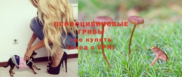СК Краснослободск
