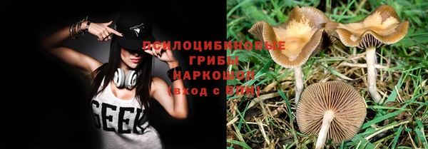 СК Краснослободск